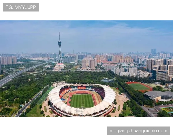 河南队主场航海体育场改造为专业足球场？省体育局公开回应